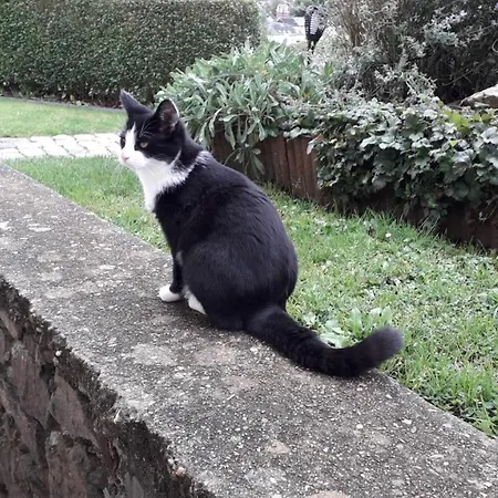 בקתה Le Petit Moussis *